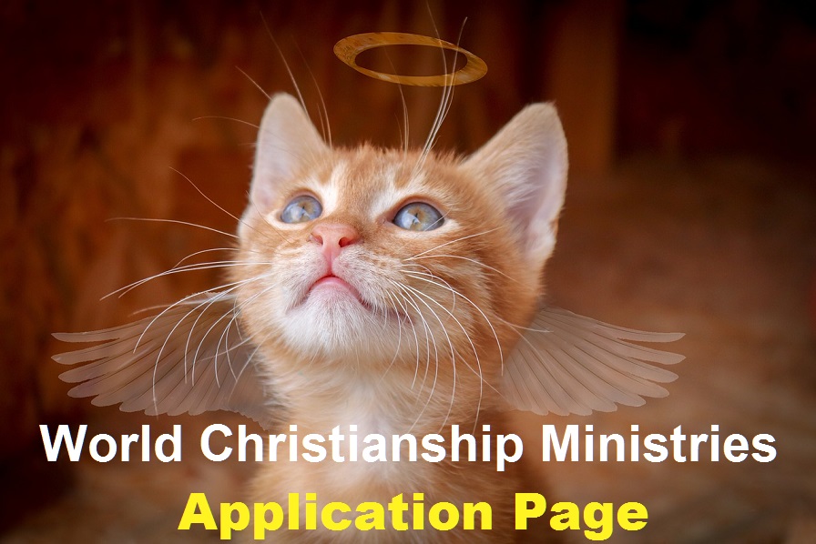 Cat application page