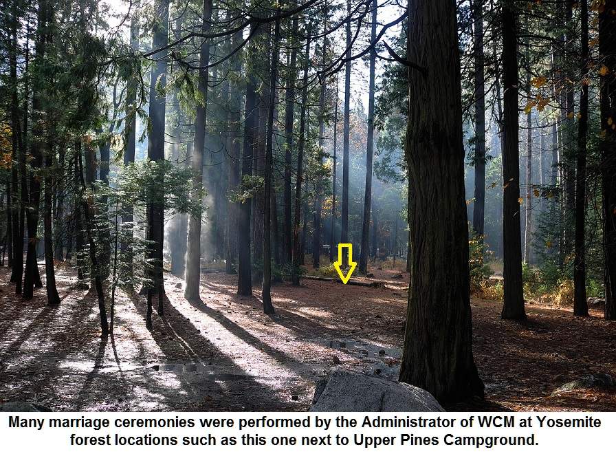 Yosemite wedding locations forest