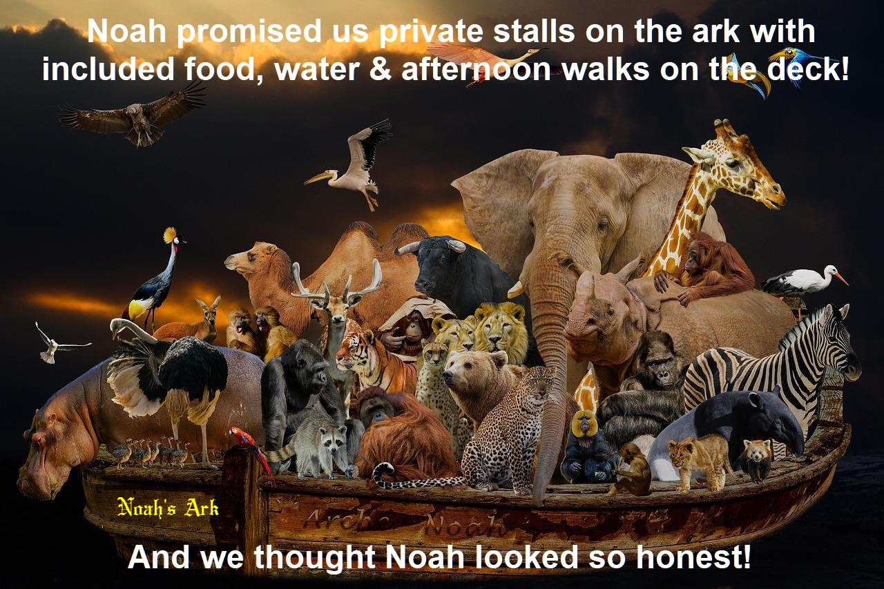 noah ark animals