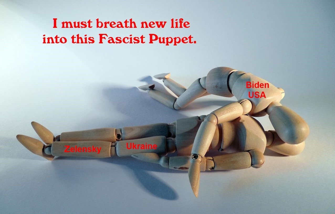 zelensky fascist puppet