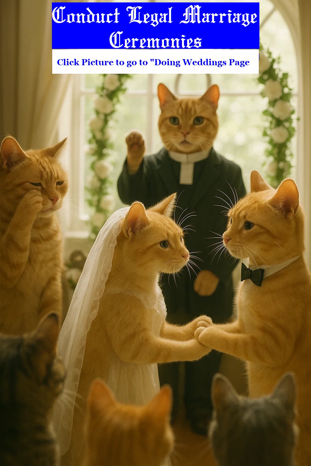 cats getting married
