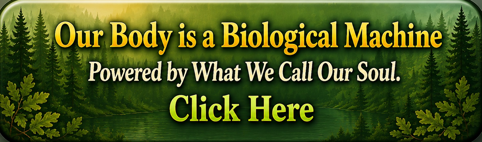 body is
                            biolobical robot