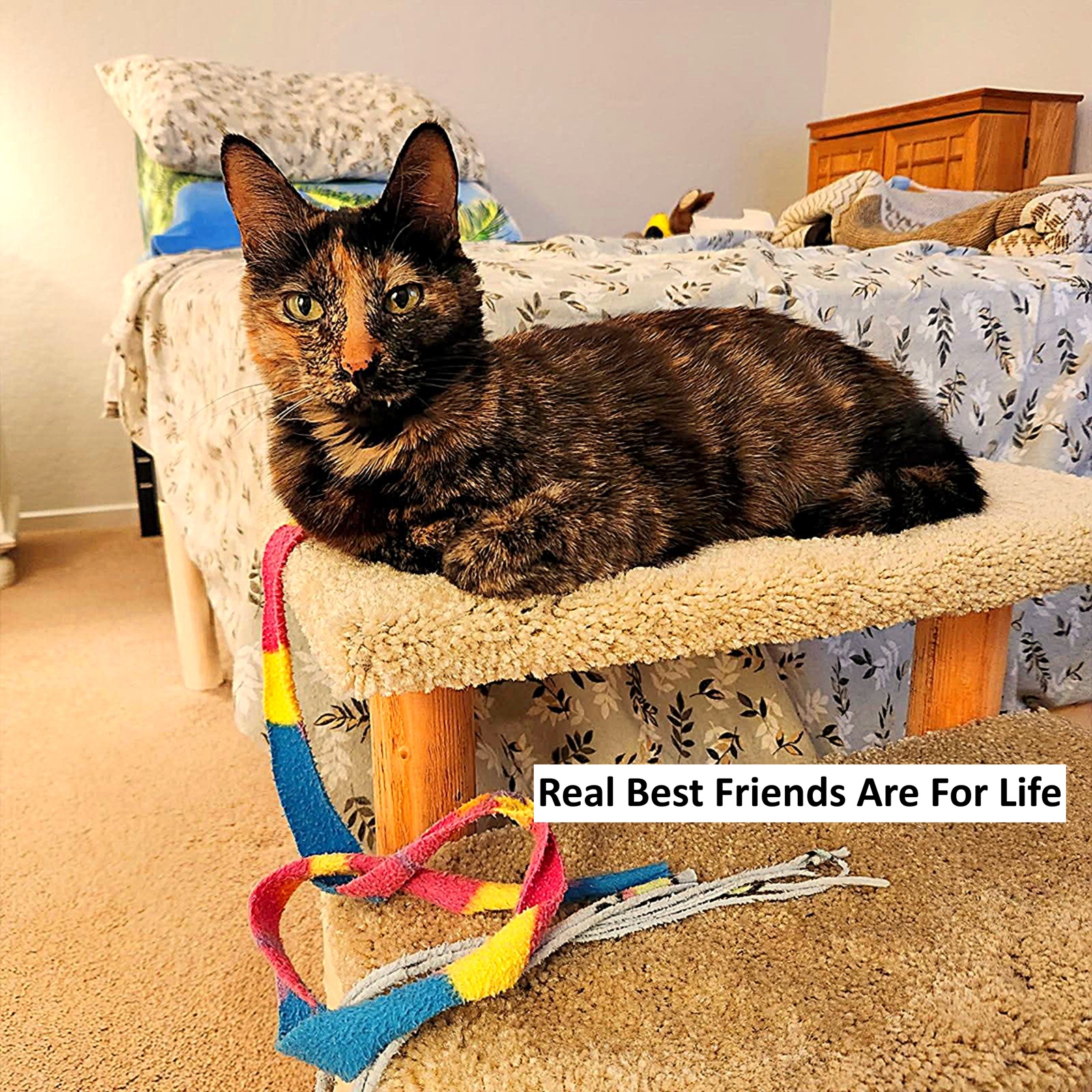 real best friends are for life